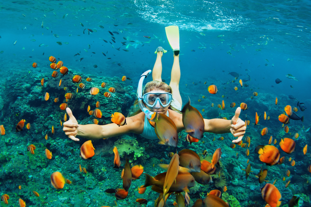 woman snorkeling with school of fish