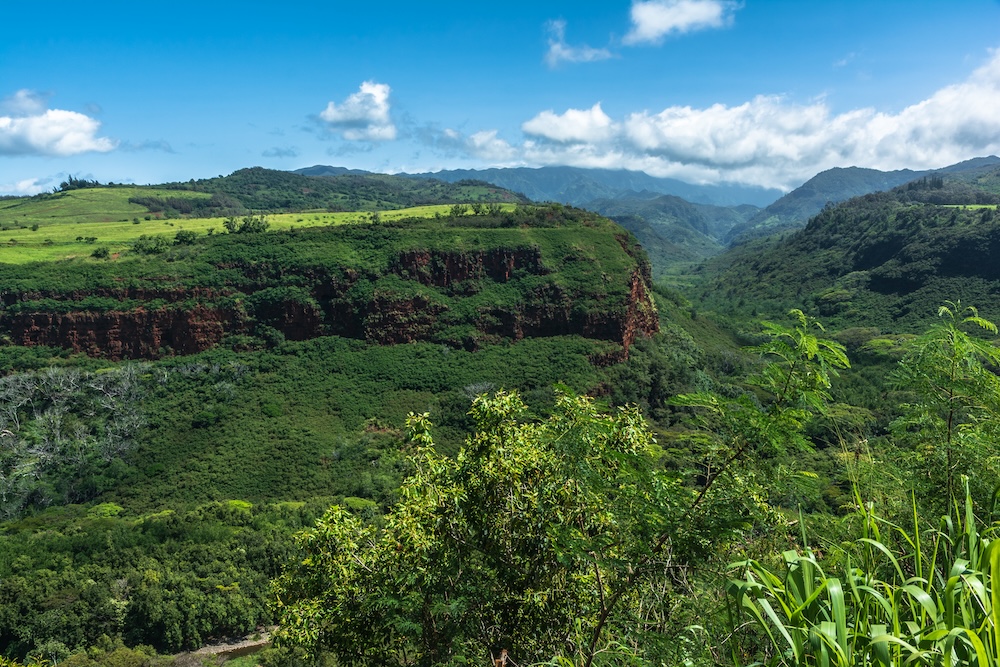 hanapepe valley lookout kauai